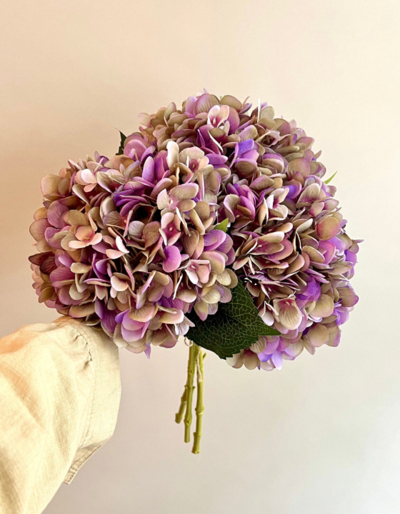 Bosje Hortensia