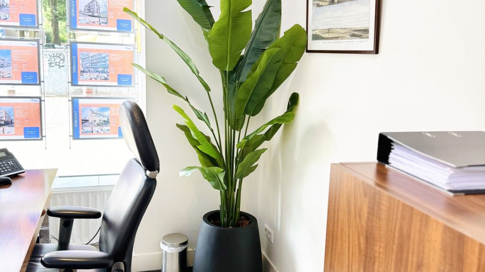 Kunstplanten en zijden bloemen als groene styling op kantoor